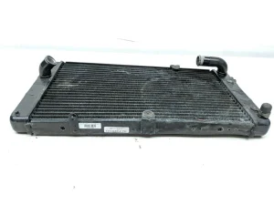 s-l1600 (35) 16 Indian Scout Radiator